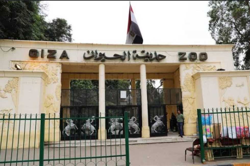حديقة الحيوان بالجيزة